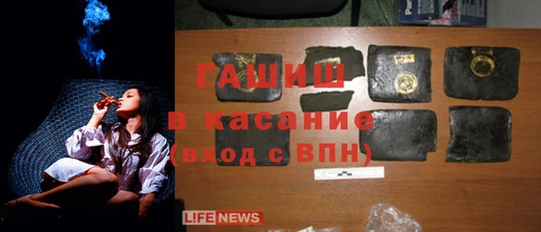 шишки Новозыбков