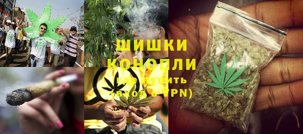 шишки Новозыбков