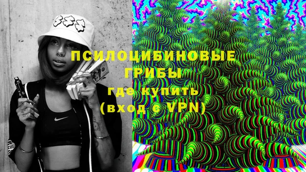 шишки Новозыбков