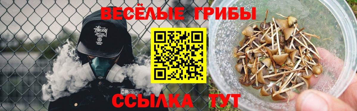 Галлюциногенные грибы Cubensis Кисловодск