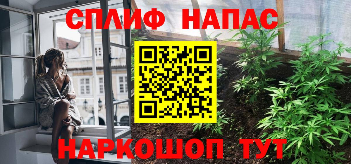 МАРИХУАНА гибрид Кисловодск